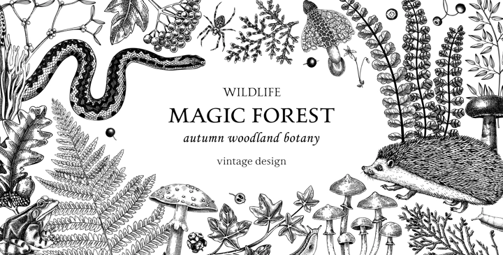 Vintage frame with woodland animals, ferns, mushrooms, fall leaves, berries and autumn plant sketches. Botanical design template in engraved style. Hand drawn autumn forest background for print.